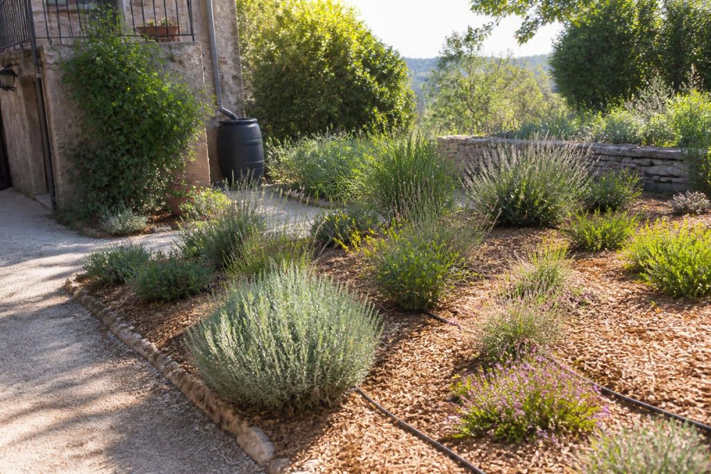 Reduire arrosage jardin