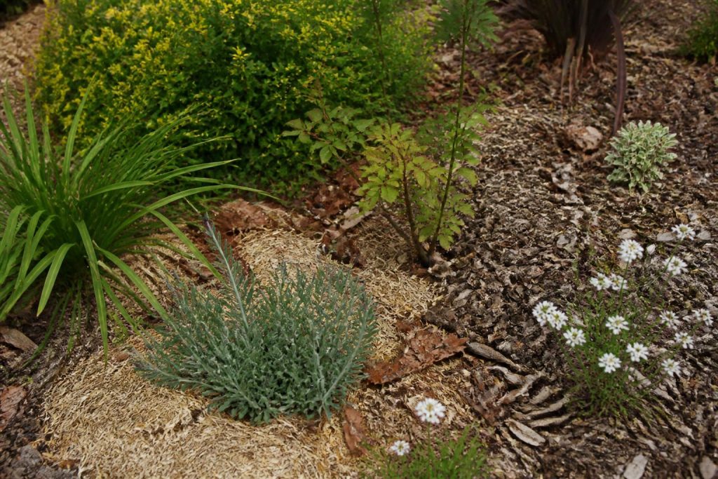 Choisir paillage jardin