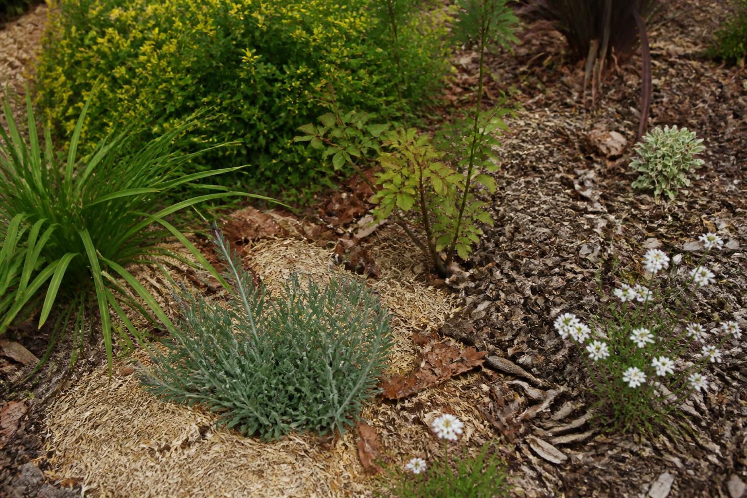 Choisir paillage jardin